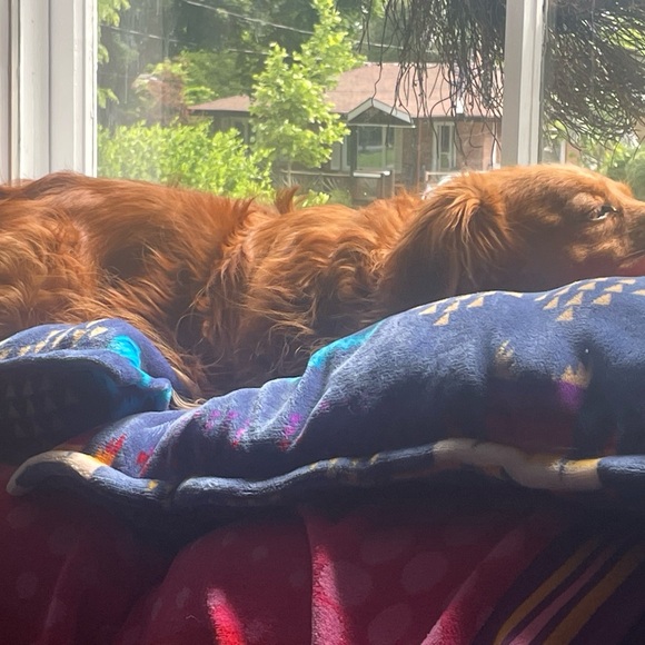 Blue cotton and beaded jacket XL - Picture 2 of 6